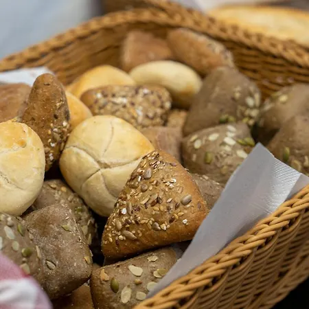 호텔 Plaza 고슬라르