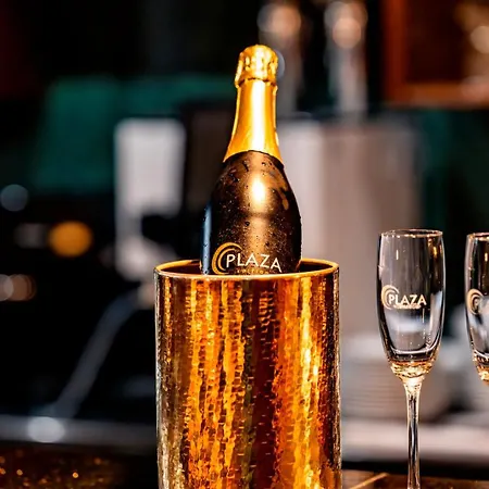 호텔 Plaza 고슬라르